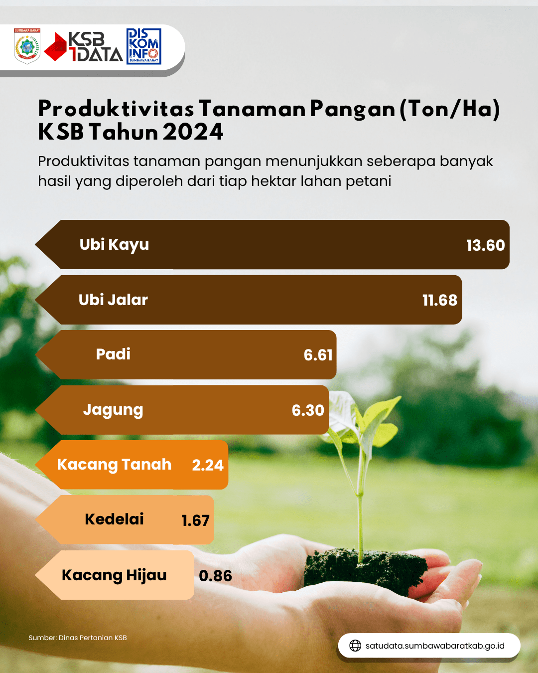 Produktivitas Tanaman Pangan Tahun 2024